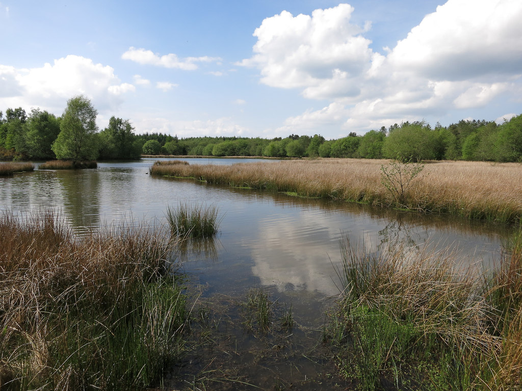 Woorgreens Lake, Forest of Dean © Hugh Venables :: Geograph Britain and ...