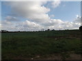 TM3272 : Fields & footpath to Heveningham Long Lane by Geographer