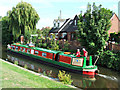 Dandelion on the Grand Union Canal