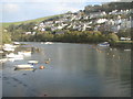 Waterhead Creek, Kingswear