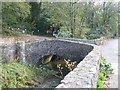 Access bridge over the leat near Cott