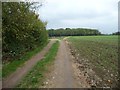 Bridleway alongside Fielden Court