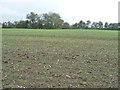 Farmland between Fielden Court and Fielden House