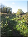 Footpath - Old Lane