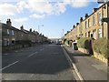 Chestnut Street - viewed from Riddings Road