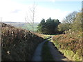 Western end of Cuckoo Park Lane