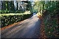 Minor road to Buckland in the Moor