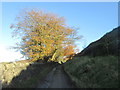 Back Shaw Lane, Hainworth