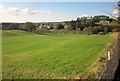 Golf course, St Mellion