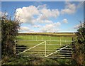 Pasture near Dunstan Quoin