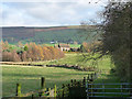 Fields near Black Dub farm