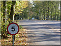 Rufford Abbey entrance