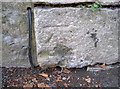 Benchmark in Vicarage Street