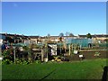 Allotment Gardens, New Mill Road