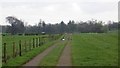 Farm track, Overton