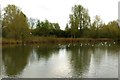 Furzton Lake in Milton Keynes