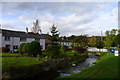 Colourful houses next to Gill Beck, Caldbeck