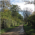 Fulbourn: Stonebridge Lane