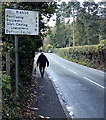 SJ2837 : Walking the dog alongside the B4500 in Chirk by Jaggery
