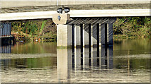 J3371 : The River Lagan, Governor's Bridge, Belfast - November 2014(1) by Albert Bridge