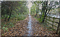 A bridleway alongside the M57