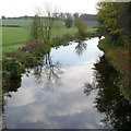 Chesterfield Canal at Wiseton