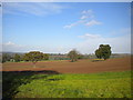 Farmland east of Oxton (2)