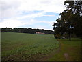 Field south of Park Farm