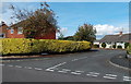 Hedge and houses, Marlcroft, Wem