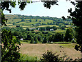 The Teifi valley near Cellan, Ceredigion