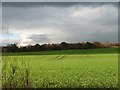 SE3515 : Cloud shadow on farmland, east of Briery Court by Christine Johnstone
