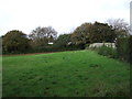 Grazing, Carnon Downs