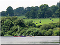 SJ9959 : Boats on the reservoir by Stephen Craven