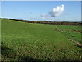 Farmland off National Cycle Route 3