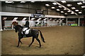 Riding in before the test at Dressage Area Festival, Arena UK, Allington