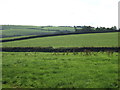 Fields near Trelissa