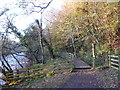 Clyde Walkway near Crossford