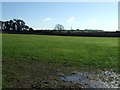 Field near Ruan High Lanes