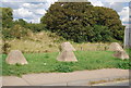 Dragons teeth, Beachlands