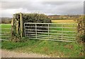 Path to Shaugh Prior