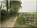 SX5461 : Lane to Bowling Green by Derek Harper