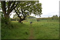 Footpath going south towards Golden Valley