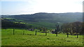 View from above Plas-uchaf in the Tanat valley