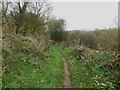 Footpath beside the River Eden