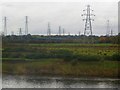 Pylons across the River Eden