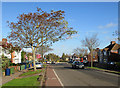 A fine November morning on Perne Road