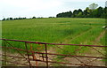 Orange cord securing a field gate, Priestpool