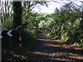 Gated field entrance near Tubbs Mill