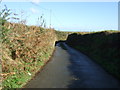 Country Lane with high banks