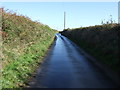 Country lane with high banks